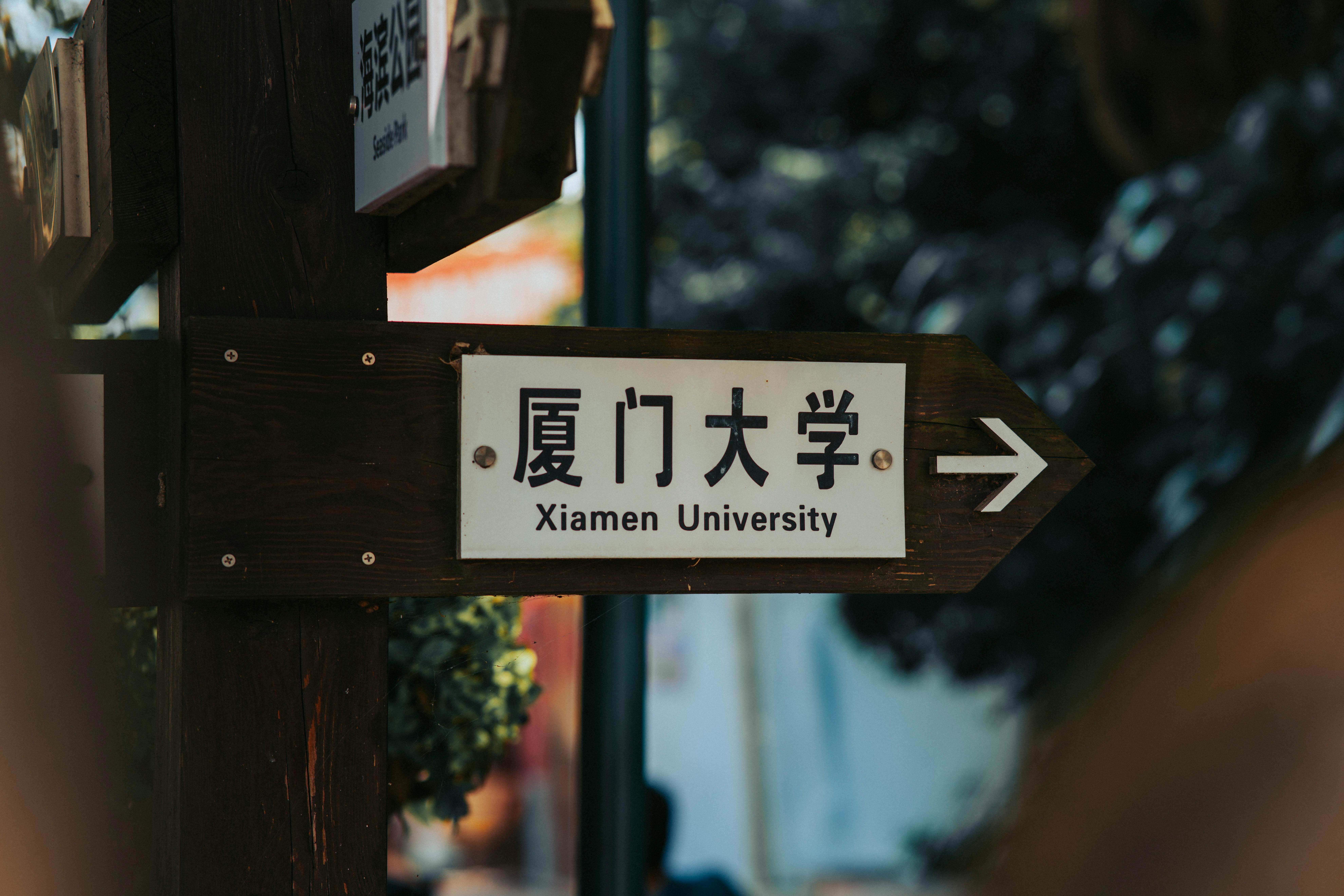 澳门科技大学硕士课程与申请时间规划示意